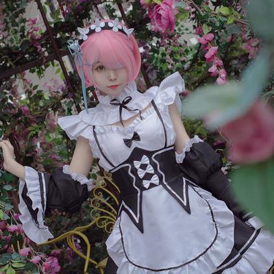 Re:Zero - Plus Size Rem & Ram Cosplay Maid Outfit for Women