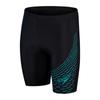 Speedo Mens Medley Logo Swim Shorts