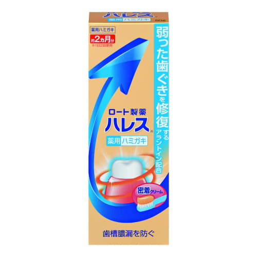 Rohto Pharmaceutical Hales Toothpaste, 50g (x 1)