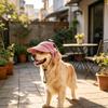 Sun Shade Hat for Small Puppy Animals with Open-Ear Shape, Rear Stretch Panel, Drawcord, and Baseball Cap Form