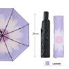 Paradise UV Protection Dual-Use Sun/Rain Umbrella