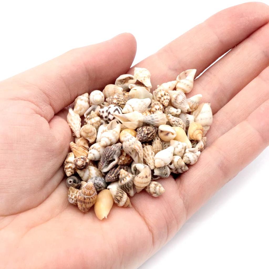 Concha casa cerca de 50 peças [PEDRA DOURADA] peças, resina, 10g, concha, materiais, tempo, feito à mão, artesanato, natural, concha, material, caracol,