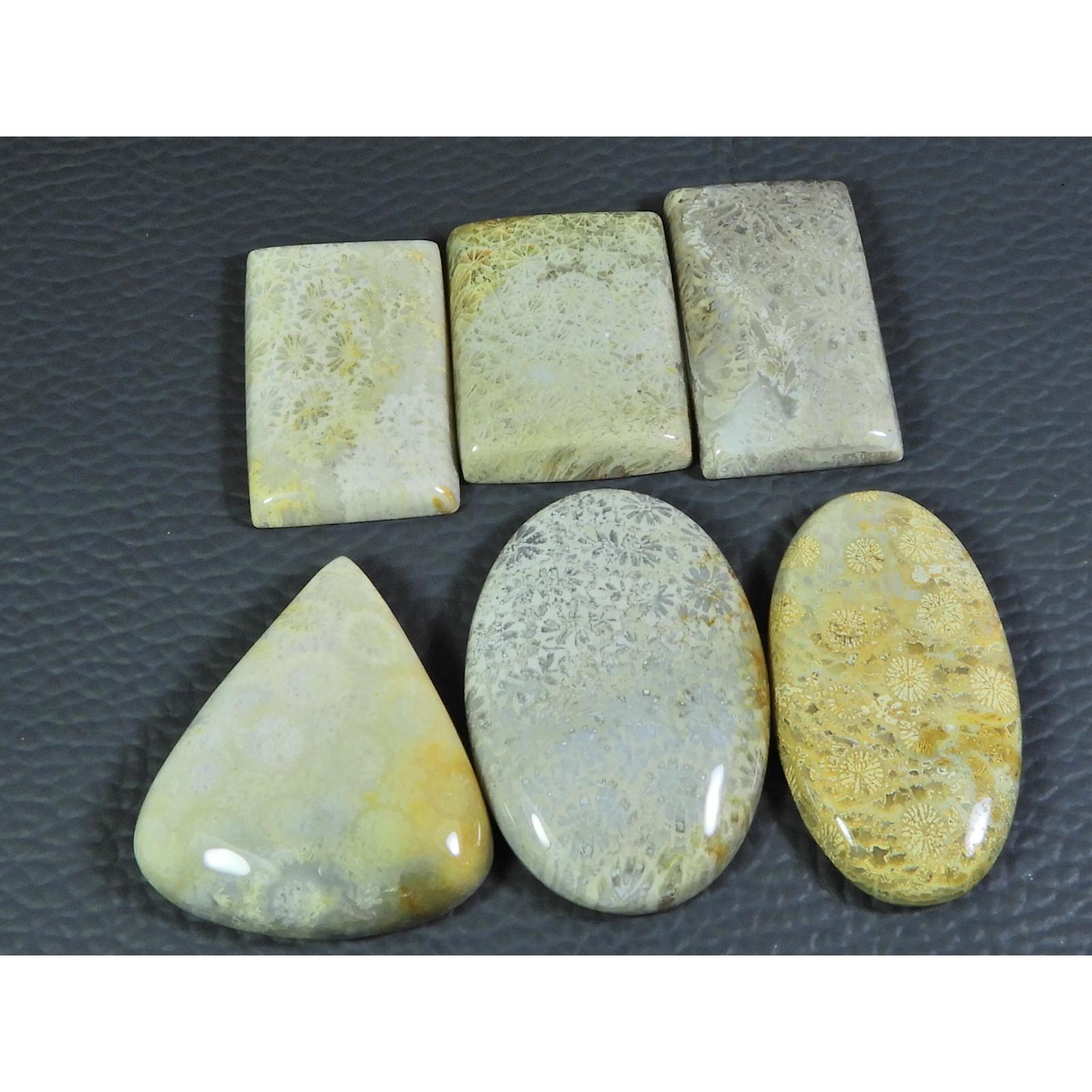 

06Pcs Natural Fossil Coral Mix Cabochon Loose Gemstone Lot 228Cts. A-740