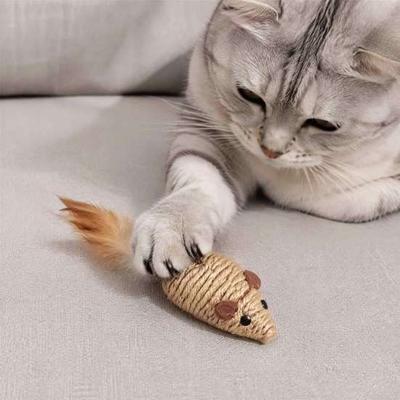 Γάτες – Παιχνίδια για γάτες