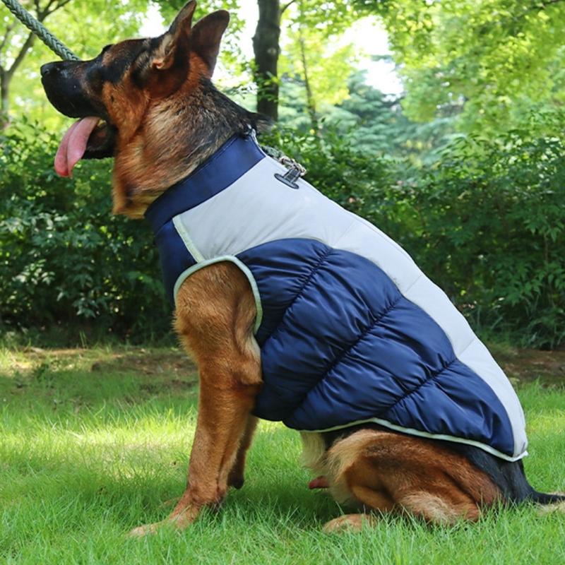 Dogs Warm Coat for Outdoor Activity Puppy Clothes Cats Windproof Jumpsuit Fashion Dog Clothes Chihuahuas Teddydog Outfit