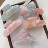 Korean Fashion Large Acetate Hair Claw Clip for Women - Versatile, Jelly Color, High-End Feel