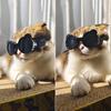Pet Sunglasses Dog Goggles Waterproof Snow Windproof Small Dog Sunglasses Eyewears for Outdoor Travel Driving Riding Dog Goggles