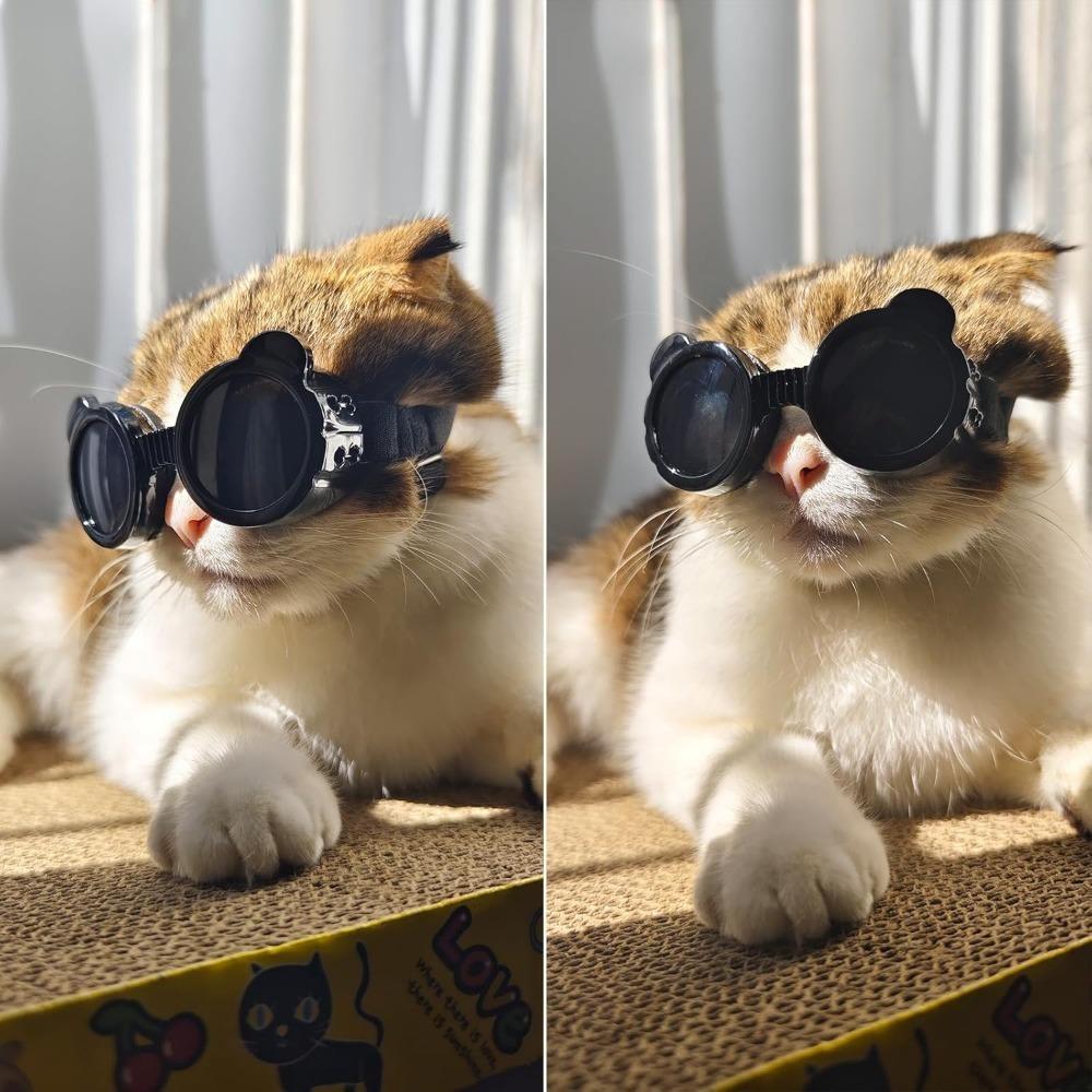 Pet Sunglasses Dog Goggles Waterproof Snow Windproof Small Dog Sunglasses Eyewears for Outdoor Travel Driving Riding Dog Goggles