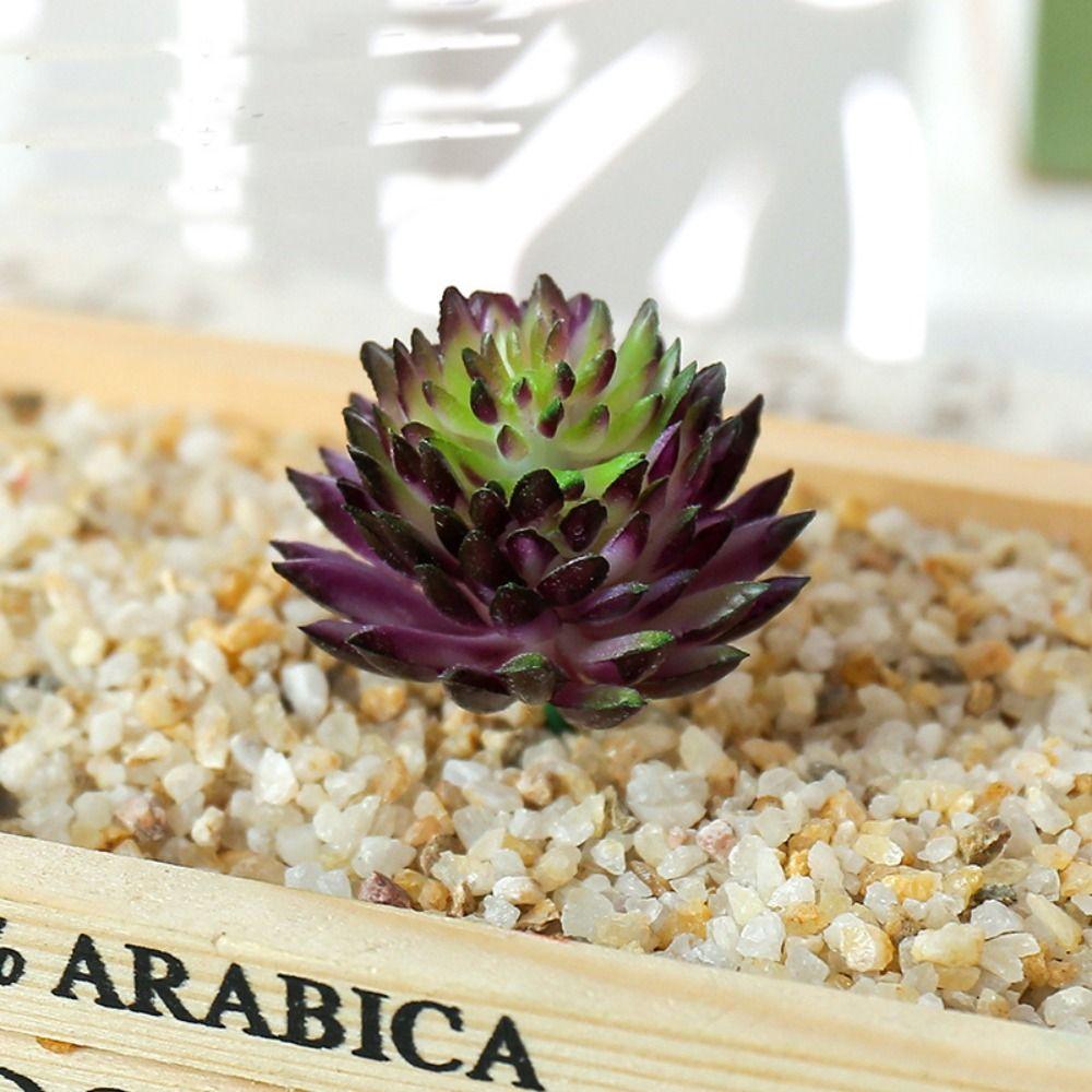 2pcs Colorful Fake Plant Plastics Artificial Flower Artistic Echeveria Chihuahuaensis  Home Decor