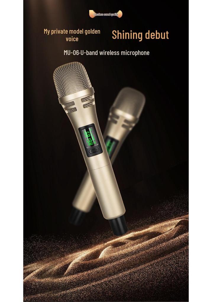 UHF Dual Wireless Microphone for Home Live Performance, Rechargeable with High-Quality Sound