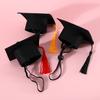 1 sada maturitního obleku pro domácí mazlíčky Rozkošný nastavitelný se střapcem Pet Kočky Psi Cosplay Kloboukový obojek Sada brýlí Příslušenství pro domácí mazlíčky
