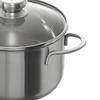 Zwilling 1014317 Stainless Steel Soup Pot