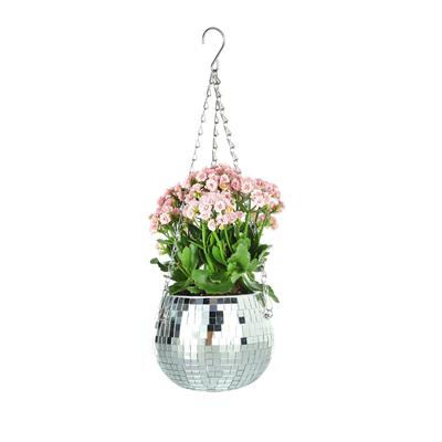 Vaso decorativo da appendere a sfera a specchio per la casa, vasi per piante, vaso da fiori sospeso per interno esterno, decorazione per giardino domestico WWO66