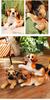 Cute Cartoon Dog Plush Toy - Husky, Akita, Shiba Inu, Beagle Puppy Doll