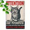 Tin Sign Beware of Cat Maniac Retro Metal Poster for Wall Decor Vintage Plaque for Kitchen Bar Garage