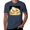Sleeping Dragon TShirt Trend Art Print TShirt