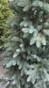 Exclusive Artificial Christmas Tree Spruce Sky 3D (Pe)