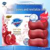 Safeguard Detox Pomegranate Bar Soap (6 X 100g)