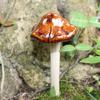 Ceramic Mushroom Ornaments for Garden, Backyard, or Pond Landscaping