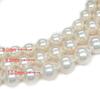 [Your and My Jewelry Box] Pearl Necklace and Earring Set  White, 10mm, 45cm Earrings Made In Japan [Gift Wrapped]