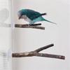 3pcs Parrots Stand Poles Adjustable Parrots Stand Interactively Bird Playing Toy for Outdoor Traveling Parrots Play Stand