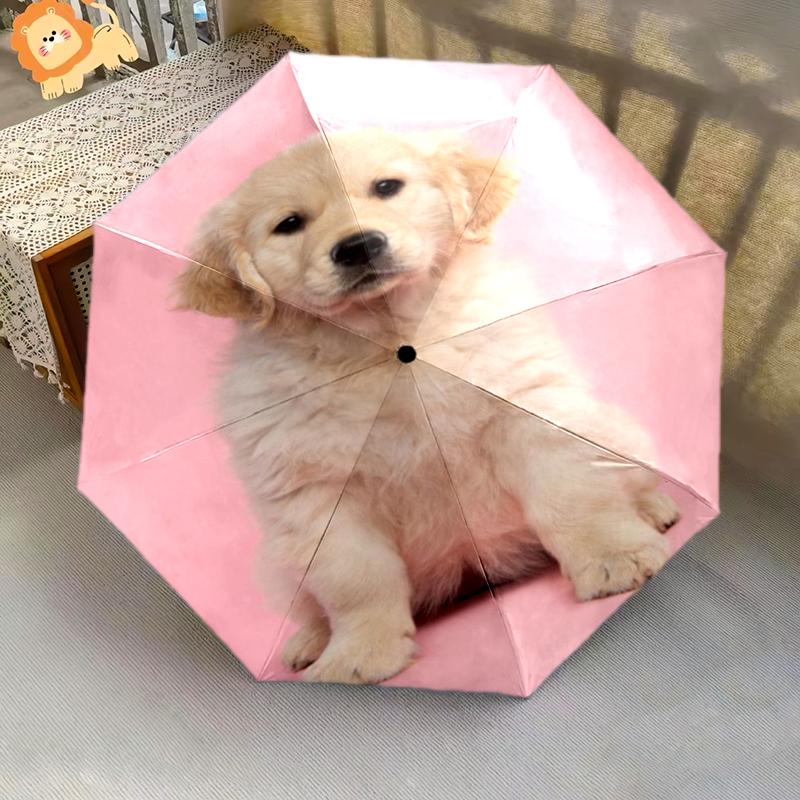 1PC Cute Dog Pet Puppy Umbrella Portable Folding Umbrella Iron Frame Hole Bone Structure Outdoor Home Umbrella A11