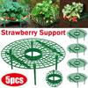 Strawberry Supports Keeping Plant Fruit Stand Vegetable Growing Rack Garden Tools for Protecting Vines Avoid Ground Gardening