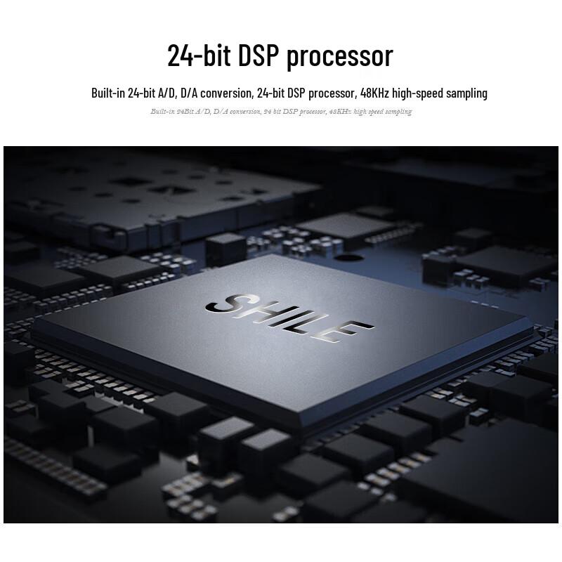 SHILE Digital Feedback Suppressor YW-3