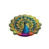 24‘ X 24’Interesting Peacock Floor Mat Floor Mats Porch Entrance Door Floor Mats