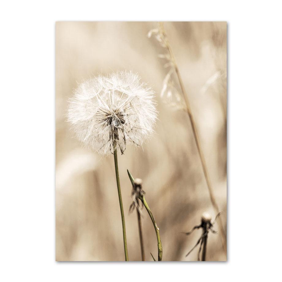 Beżowy plakat z krajobrazem mniszek lekarski ogon trzciny kwiatowej liść ścienny drukowany obraz na płótnie obrazy ścienne salon Home Decor