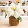 Crocheted Lilies Potted Plant Home Decors Artificial Knitted Flower Pot Ornament for Mother Day Teacher Appreciation Gift