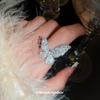 Vlinder Open Ring Super Onsterfelijk Temperament Lichte Luxe Wijsvinger Ring Mori Zoet Meisje Ring Sieraden