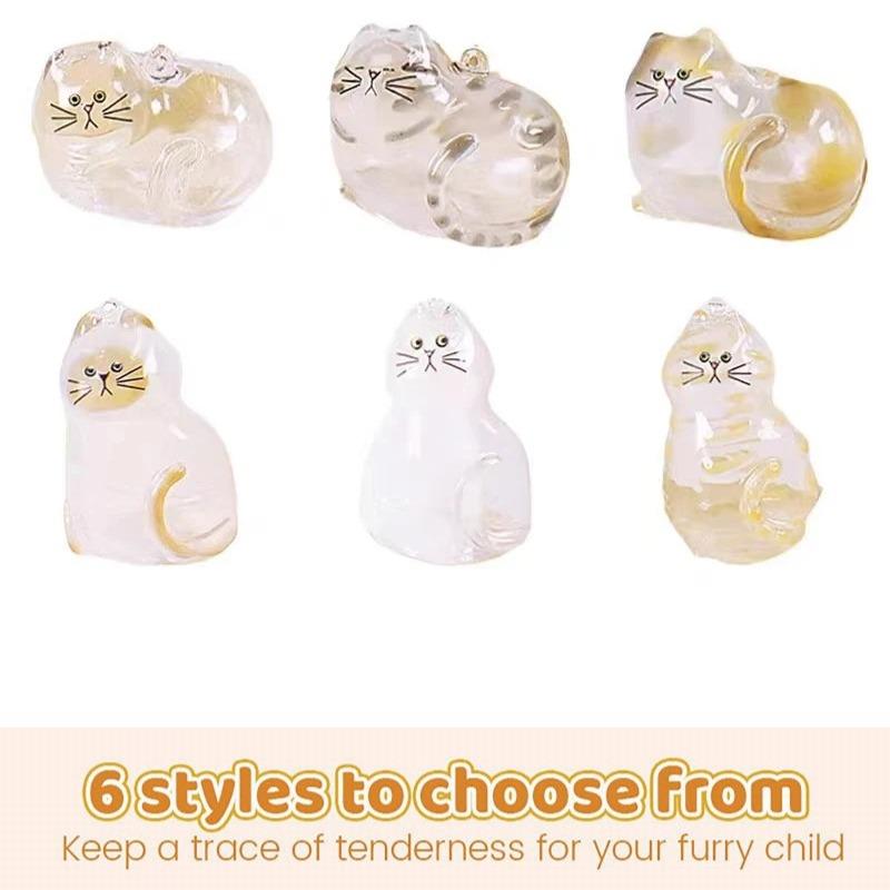 6 ks přívěsků na klíče s chlupy domácích mazlíčků, přívěsek na klíče na památku s kočičí/psí srstí, průhledný akrylový přívěsek ve tvaru kočky, kapsle pro uložení, dárek k narozeninám pro milovníky domácích mazlíčků