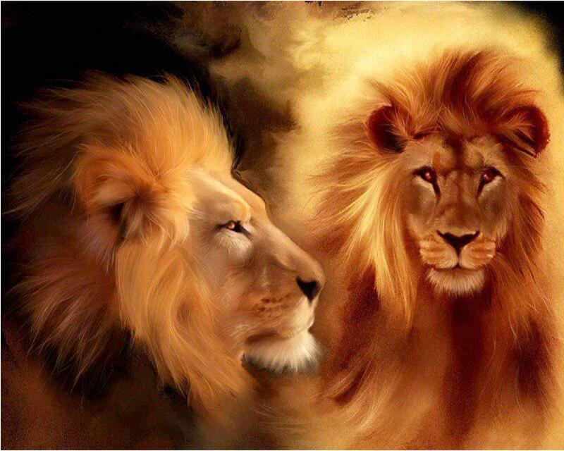 

Полный дрель Алмазная картина Морская Русалка Подарок ручной работы Алмазная вышивка Пляжная лодка Пейзаж Вышивка крестиком Алмазная мозаика Украшение дома Full Square 20X30CM светло-синий