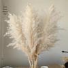 High-End Wabi-Sabi Dried Flower Decor: Natural Reeds & Wheat for Living Room or Homestay.