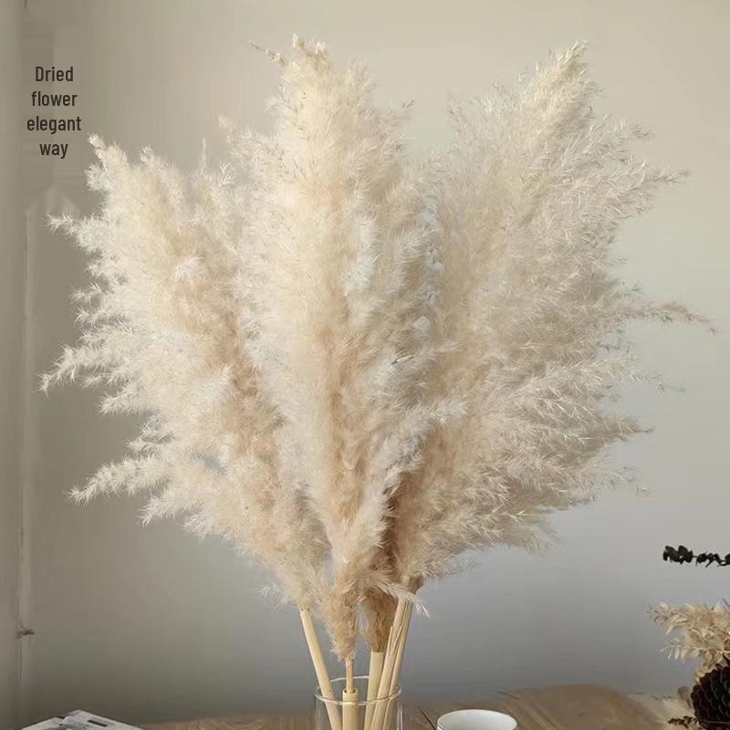 High-End Wabi-Sabi Dried Flower Decor: Natural Reeds & Wheat for Living Room or Homestay.