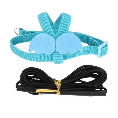 Köpek – Köpek Tasmaları ve Tasma Kayışları