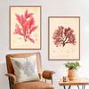 Nordic Retro Art Plant Evolution Popular Science Demonstration Canvas Painting Living Room Corridor Poster Home Decoration Mural No Frame