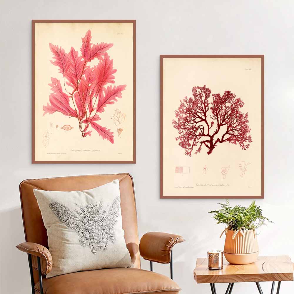 Nordic Retro Art Plant Evolution Popular Science Demonstration Canvas Painting Living Room Corridor Poster Home Decoration Mural No Frame