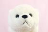 Step Snow M Polar Bear
