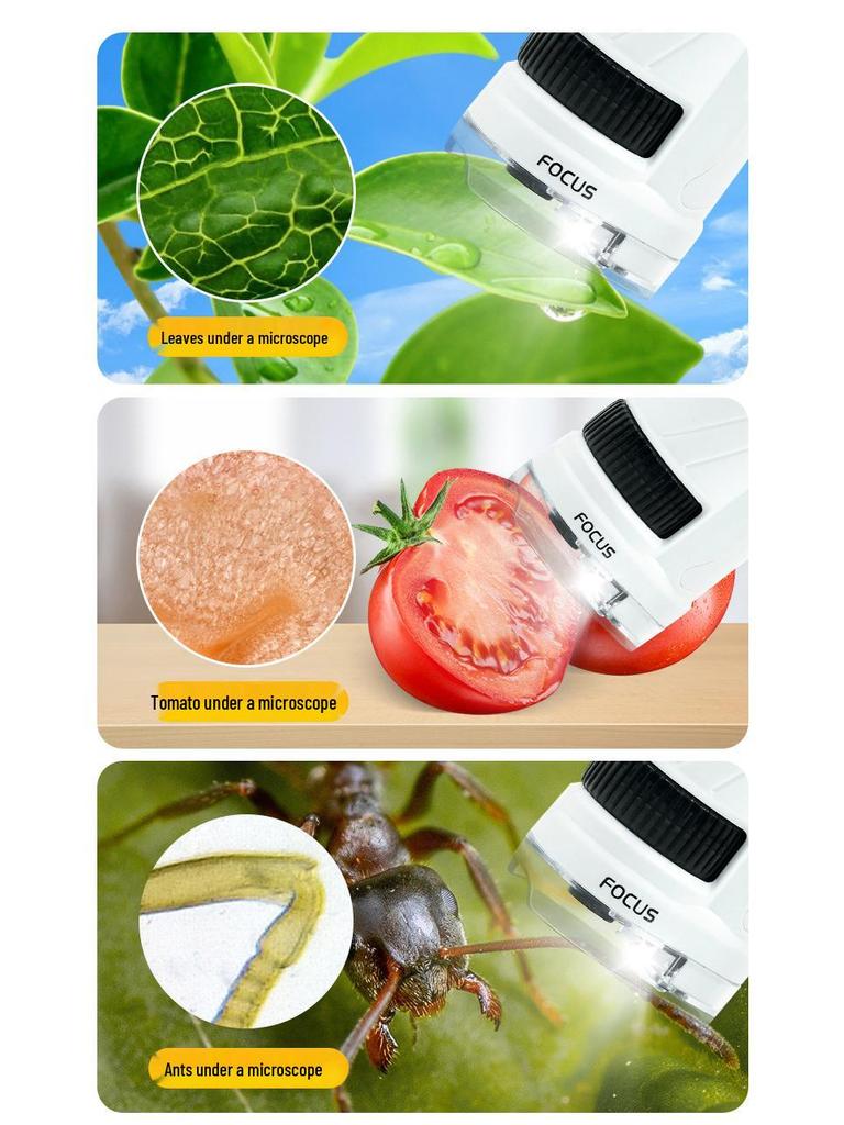 Xueyouma Tragbares Wissenschaftsmikroskop für Kinder - Insekten- und Bakterienbeobachtungsspielzeug für Schüler