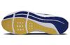 Nike Air Zoom Pegasus 40 'North Carolina A&T' DZ5952-100
