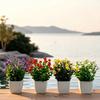 Simulated Potted Plants Mini Eucalyptus And Camellia Buds Potted Plant Maintenance-Free Fake Plants