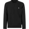 Polo FW22 Logo Geborduurd Ronde Hals Lange Mouwen Trui Heren trui Zwart 710888284-003
