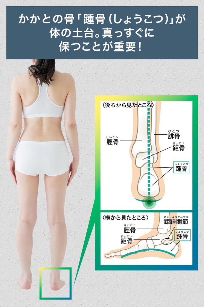 apprecia Heel Ankle Shock Heel Posture Standing Strength 3 Sizes 1 Pair and Expert-Supervised Support, Support, Absorption, Anti-Slip, Care,