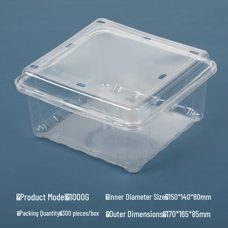 Transparent Disposable Fruit Box with Lid – Food-Grade Plastic, Rectangular, Sturdy for Takeaway, Ideal for Strawberries or Cut Fruit