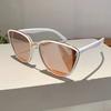 Fashion Cat Eye Sunglasses  New in Vintage Gradient Mirror Outdoor Eyewear Luxury Trendy Brand Design Sexy Women Shades