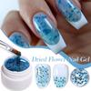 1/6Pcs 8ML Dried Flowers Gel Nail Polish Soak Off UV/LED Natural Floral Petal Nail Glue Varnish Long Lasting Women Clear DIY Nail Art Painting Gel