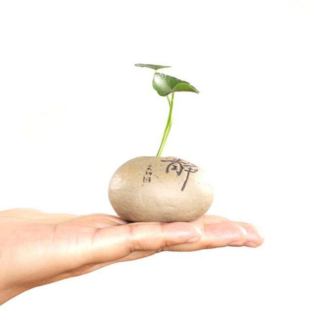 Ceramic Ceramic Zen Hydroponic Vase Handmade Desktop Small Vase Stone Shape Vase  Office