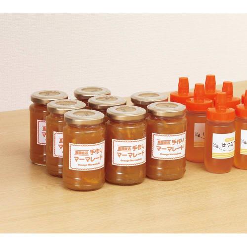KOKUYO Printer-compatible Label Stickers, Uncut, 100 Sheets KPC-E101-100N